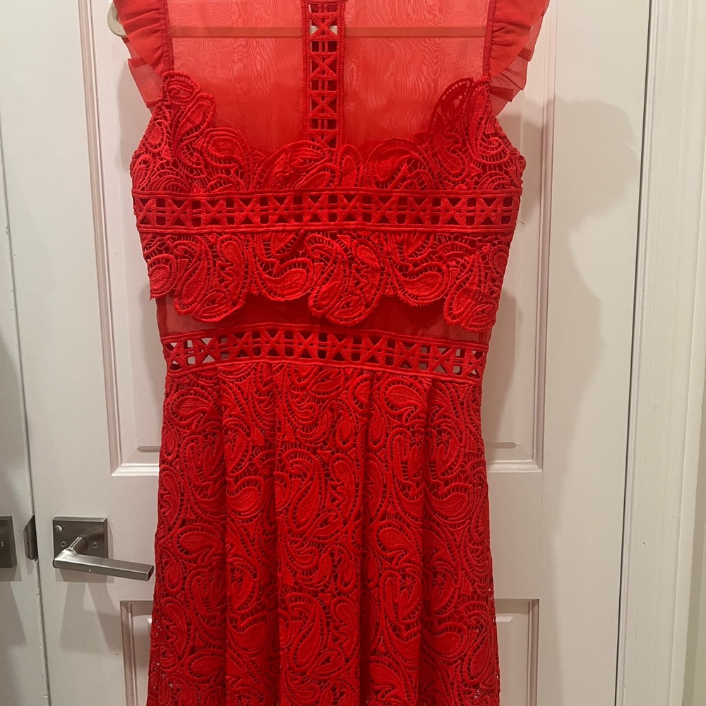Karina Grimaldi Vibrant Red Lace Midi Dress